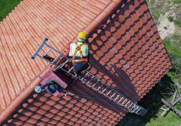 Best Metal Roofing Installation  in Warsaw, KY