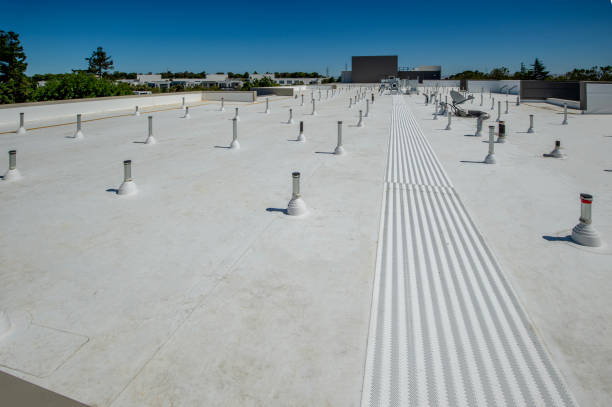 Best Steel Roofing  in Warsaw, KY